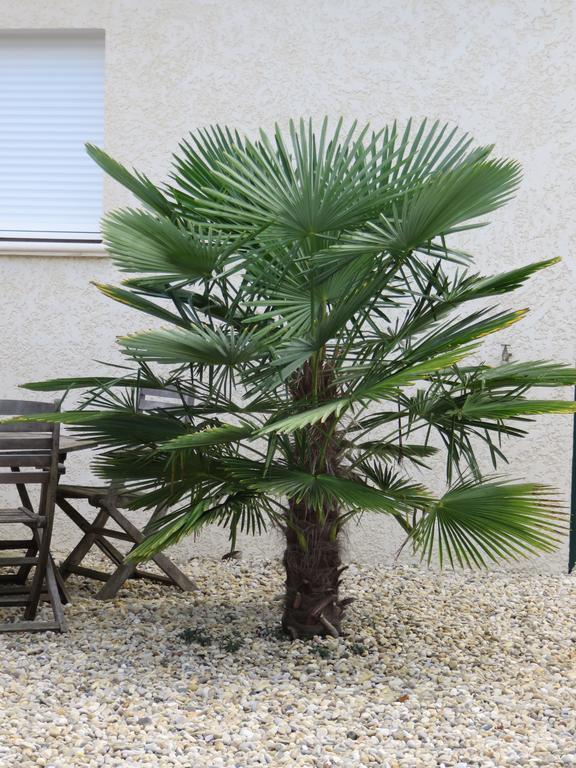 La Petite Maison Malataverne المظهر الخارجي الصورة